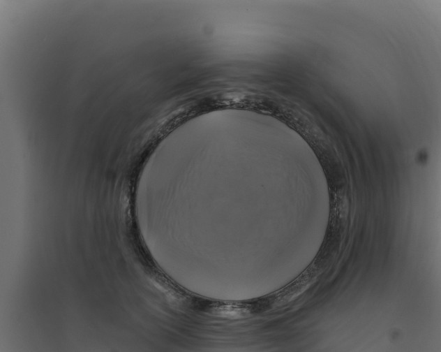 X0000094190754200711241615