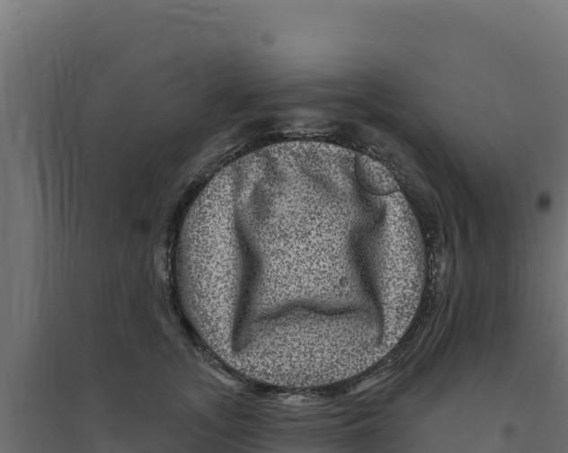 X0000094190755200711241615