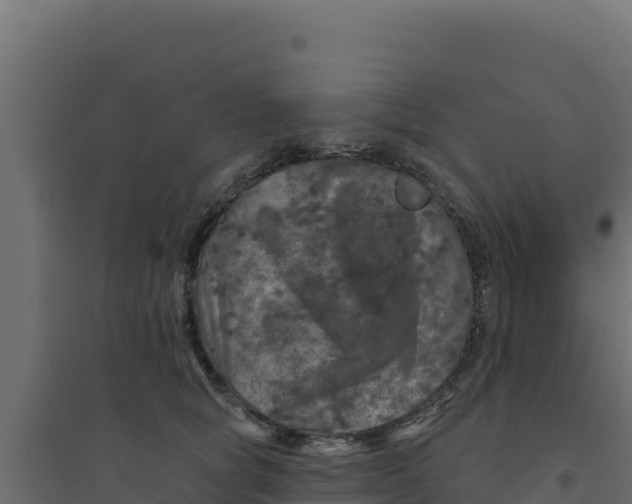 X0000094190757200711241615