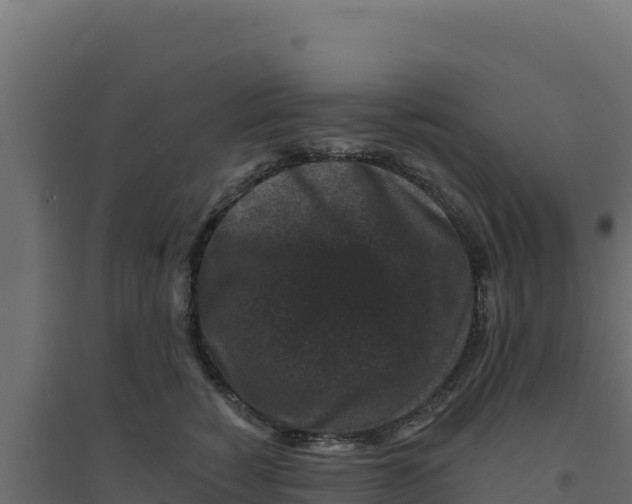 X0000094190760200711241615