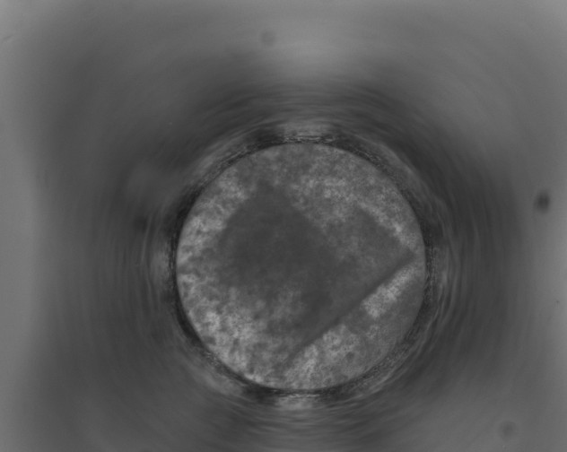 X0000094190761200711241615