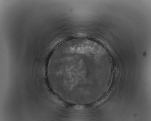 X0000094190762200711241615