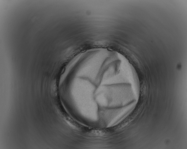 X0000094190764200711241615