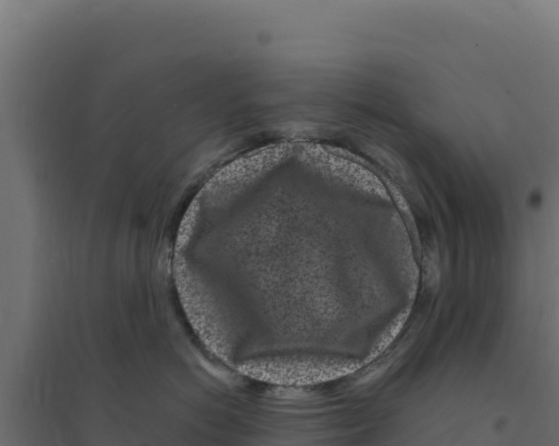 X0000094190766200711241615