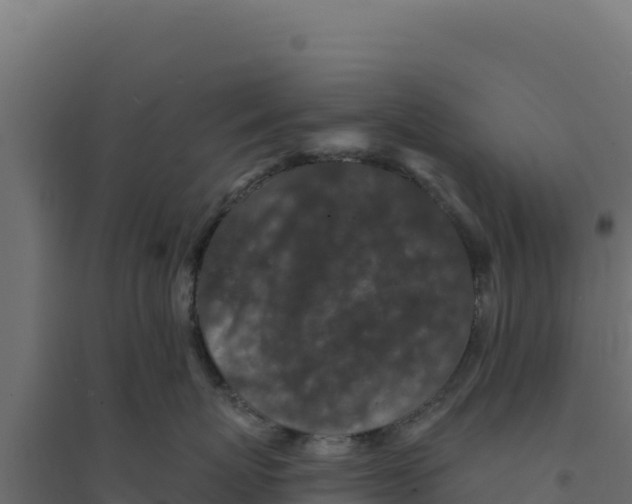 X0000094190767200711241615