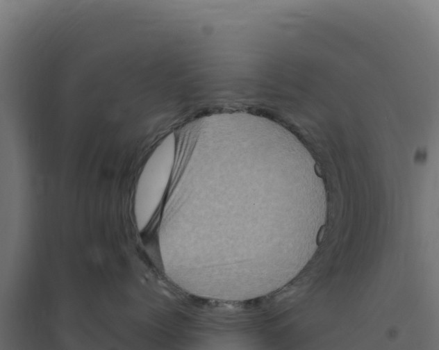 X0000094190768200711241615