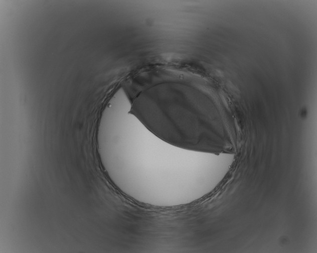 X0000094190769200711241614