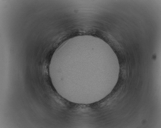 X0000094190770200711241614