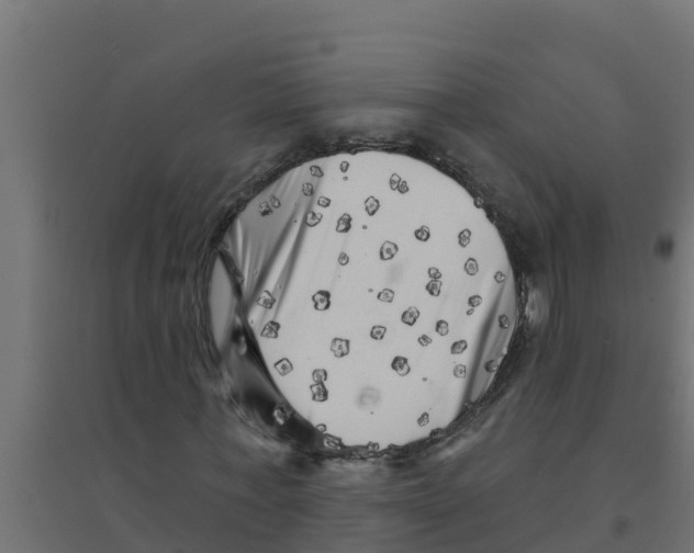 X0000094190771200711241614