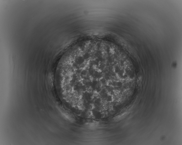 X0000094190772200711241614