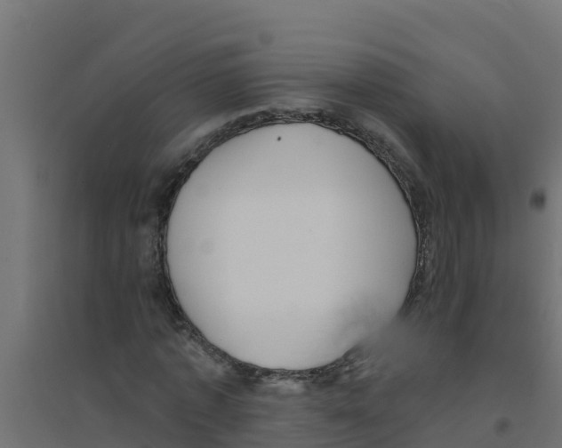 X0000094190773200711241614