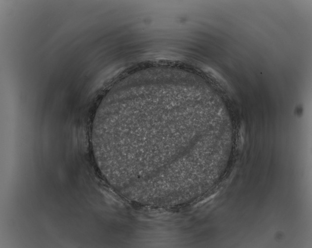 X0000094190774200711241614
