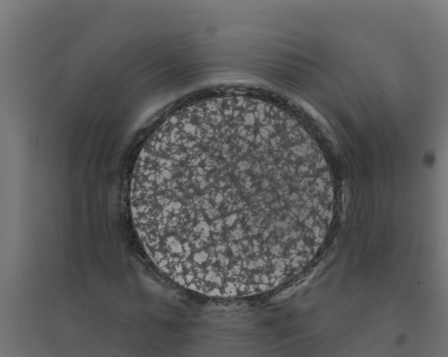 X0000094190775200711241614