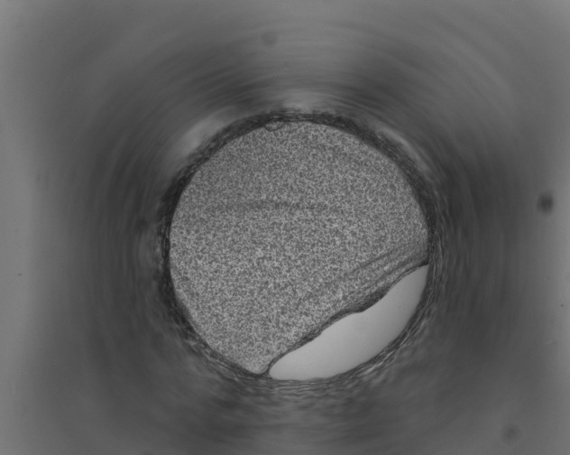 X0000094190776200711241614