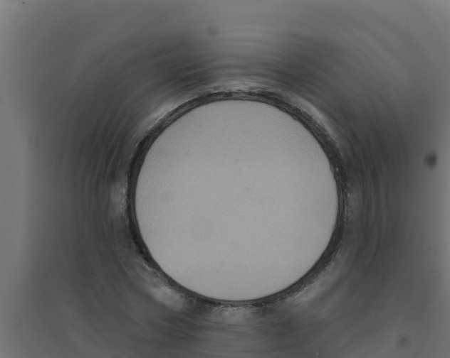 X0000094190778200711241614
