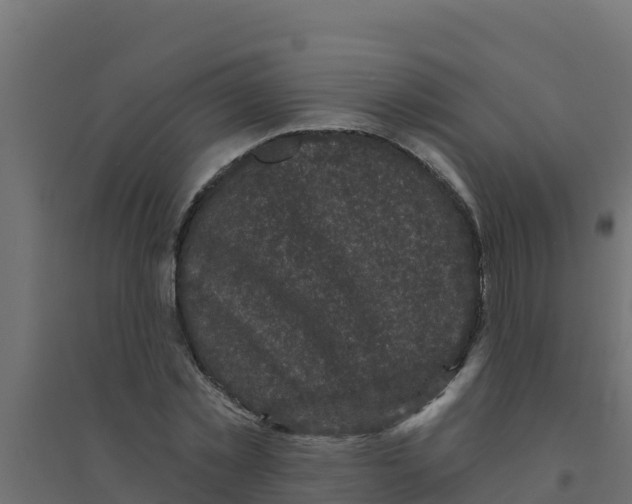X0000094190781200711241614