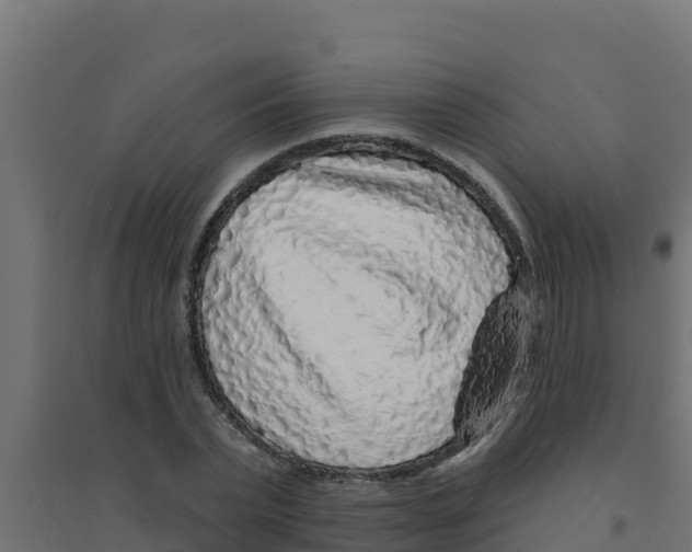 X0000094190783200711241614