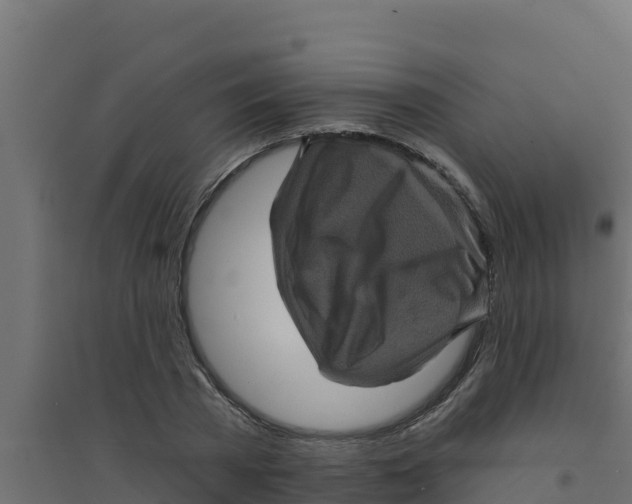 X0000094190785200711241614