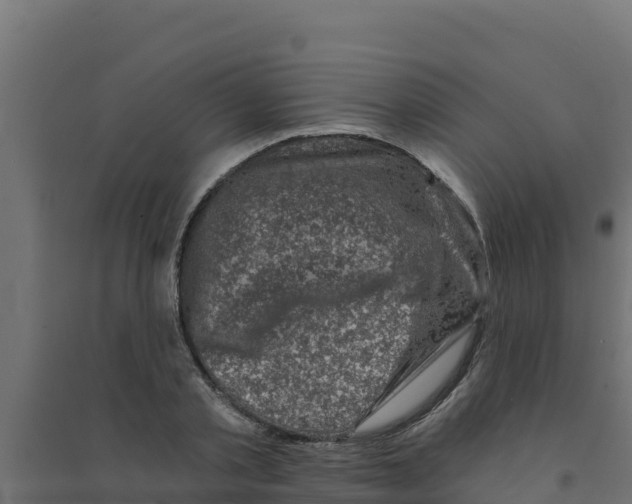 X0000094190789200711241614