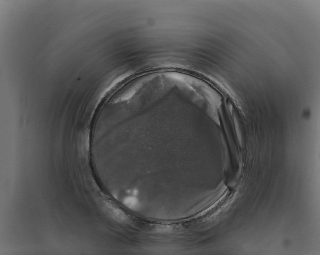 X0000094190790200711241614