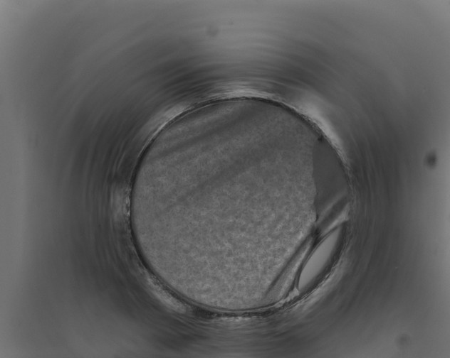 X0000094190793200711241614