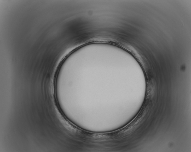 X0000094190795200711241614