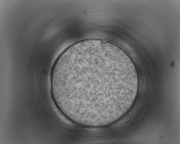 X0000094190796200711241614