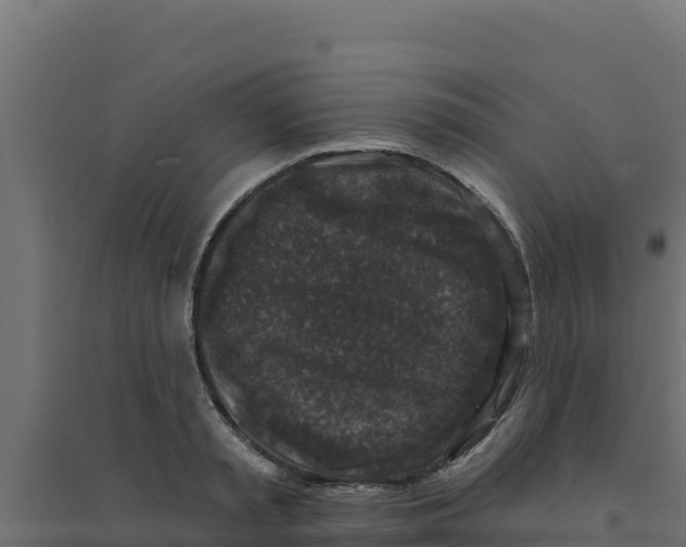 X0000094190797200711241614