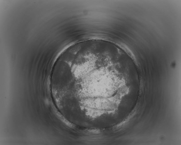 X0000094190798200711241614