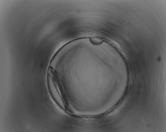X0000094190802200711241614
