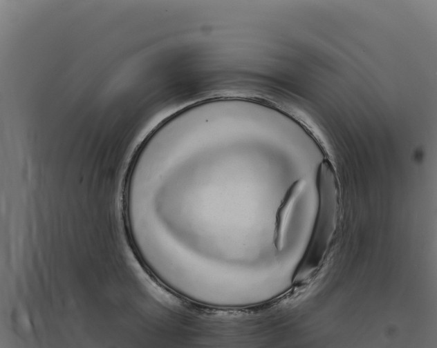 X0000094190803200711241614