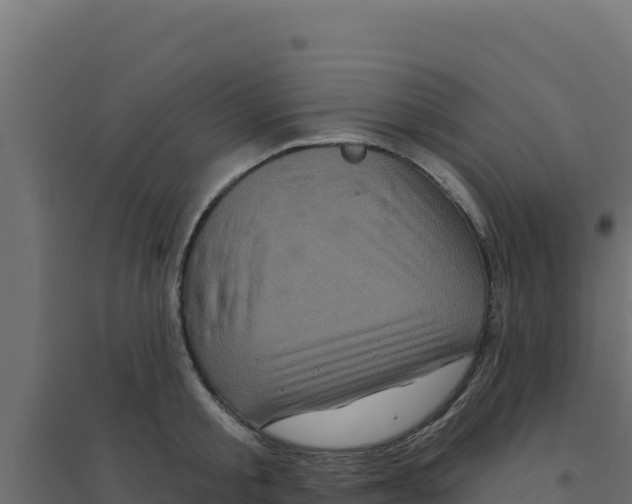 X0000094190805200711241614
