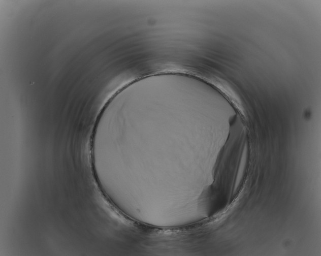 X0000094190806200711241614