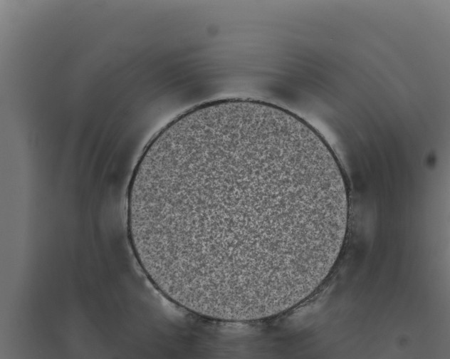 X0000094190807200711241614