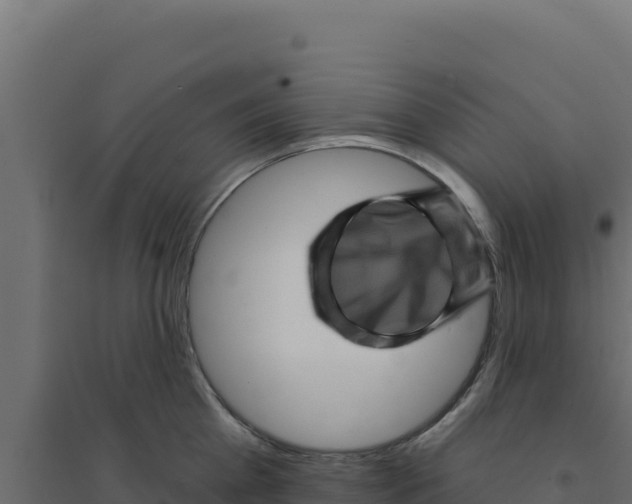X0000094190809200711241614