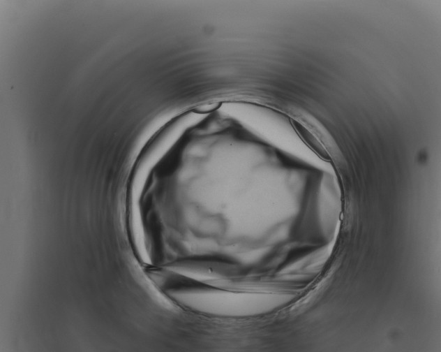 X0000094190812200711241614