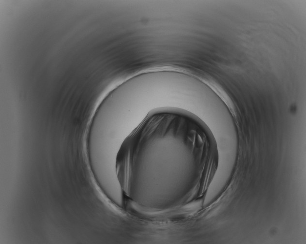 X0000094190813200711241614