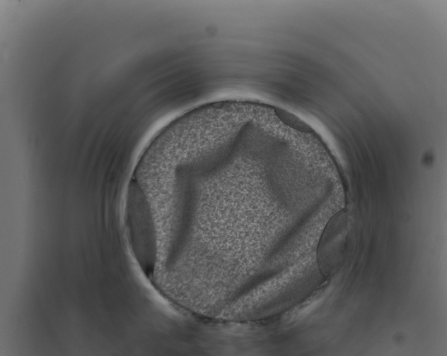 X0000094190815200711241614