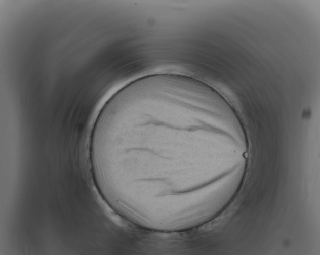 X0000094190816200711241614