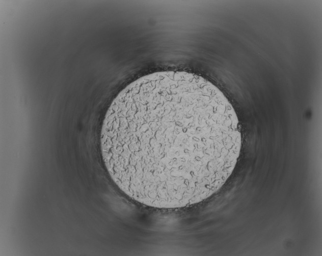 X0000094190817200711241613