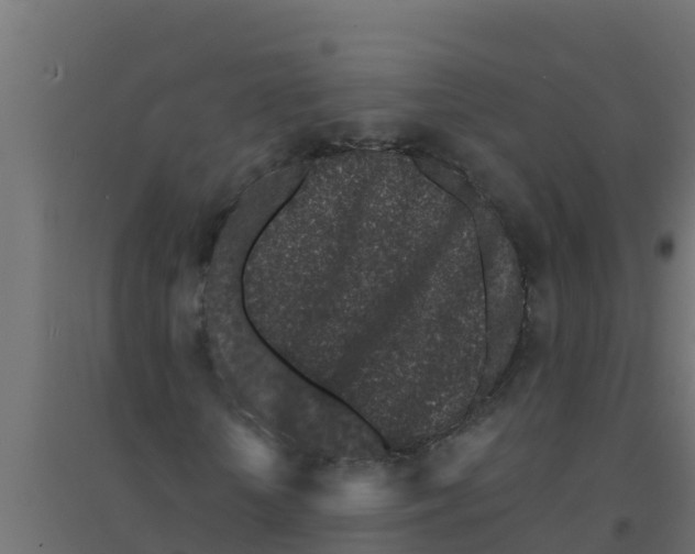 X0000094190818200711241613