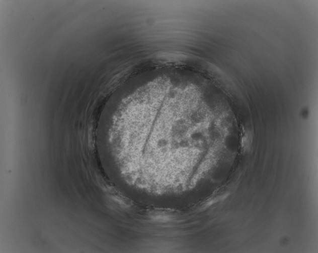 X0000094190819200711241613