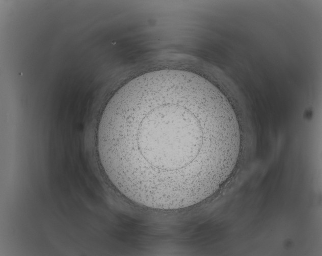 X0000094190820200711241613