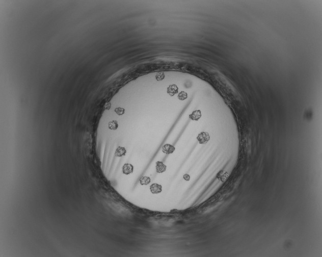 X0000094190821200711241613