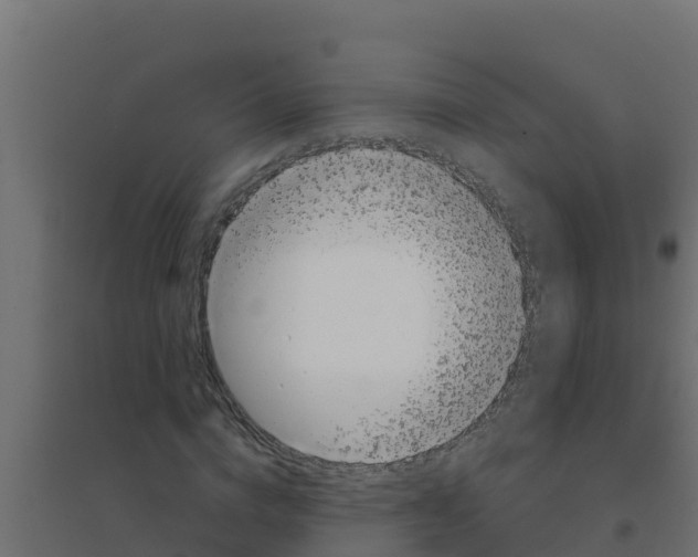 X0000094190824200711241613