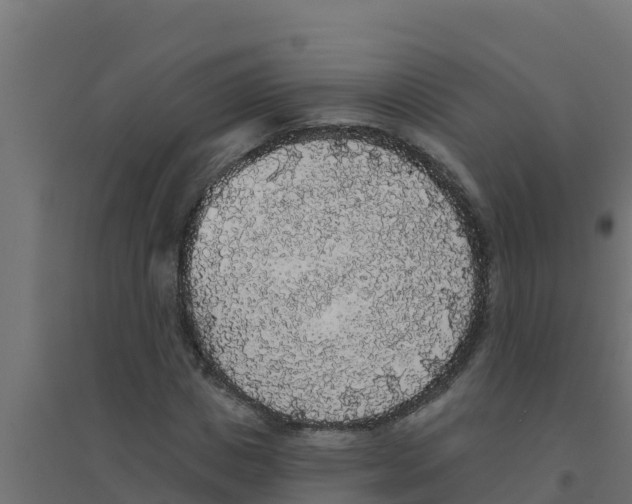 X0000094190825200711241613