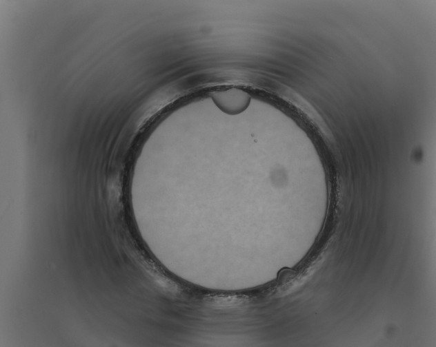 X0000094190826200711241613