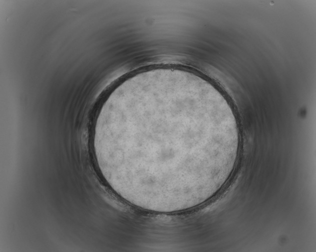 X0000094190827200711241613