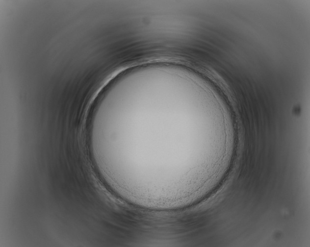 X0000094190828200711241613