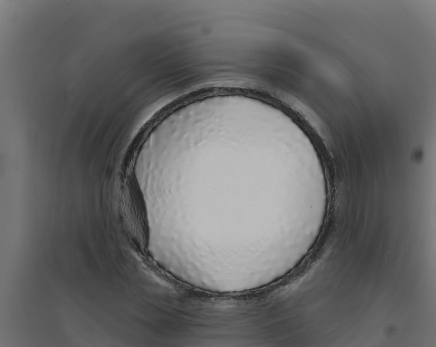 X0000094190829200711241613